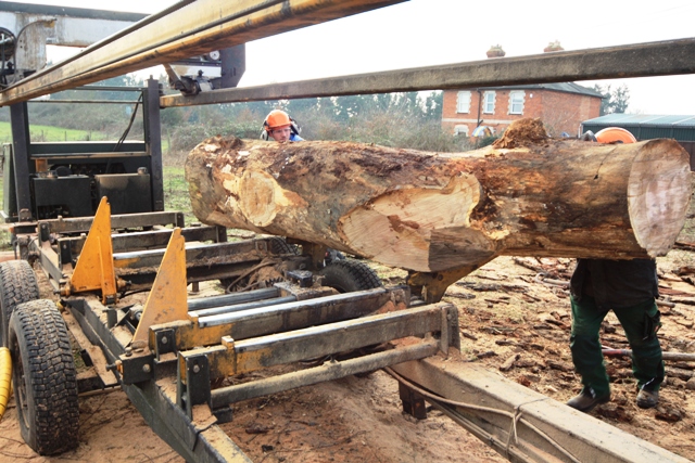 The Internet Garden Wood - Send Business Centre The Internet Garden Wood - Send Business Centre