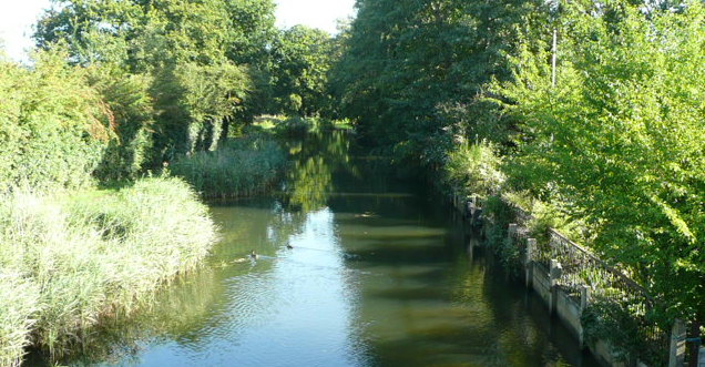 5 Ways to make a Greener Office - Send Business Centre 5 Ways to make a Greener Office - Send Business Centre